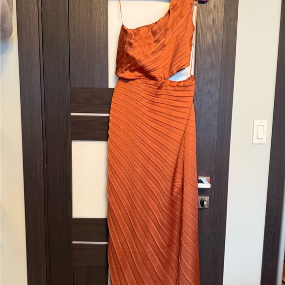 Abercrombie & Fitch Rust Satin Dress - Picture 4 of 9